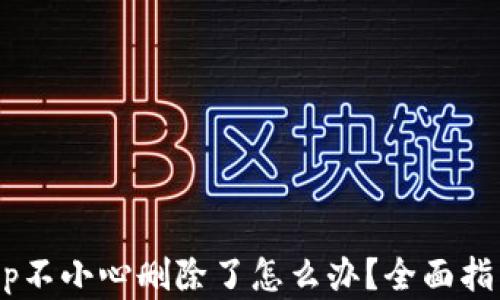 
TPWallet App不小心删除了怎么办？全面指南与解决方案