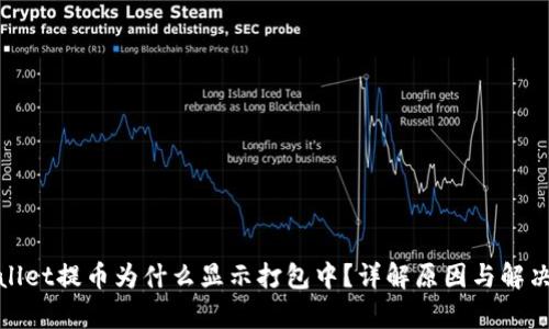 tpwallet提币为什么显示打包中？详解原因与解决方案