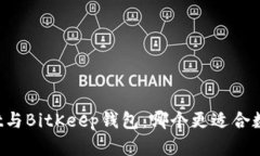 探索TPWallet与BitKeep钱包：哪个更适合数字资产管