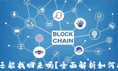 
手机掉了TPWallet还能找回来吗？全面解析如何找回丢失的数字资产