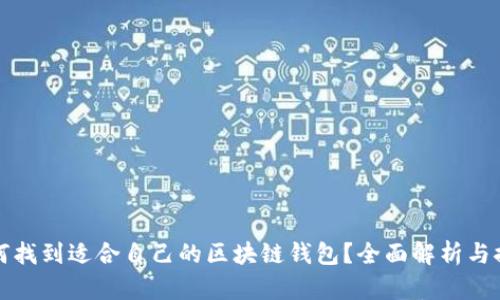 如何找到适合自己的区块链钱包？全面解析与推荐
