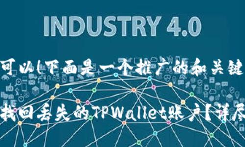 当然可以！下面是一个推广的和关键词。

如何找回丢失的TPWallet账户？详尽指南