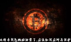 比特币钱包地址泄露了，应该如何应对与保护？