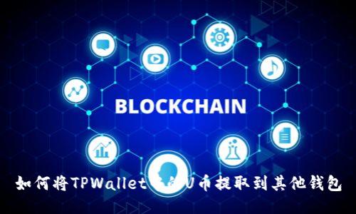 如何将TPWallet中的U币提取到其他钱包