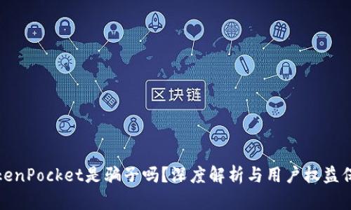 TokenPocket是骗子吗？深度解析与用户权益保护