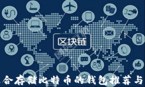 
最适合存储比特币的钱包推荐与指南