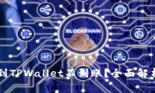 交易所提币到TPWallet不到账？全面解析与解决方案