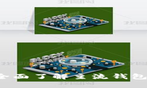 虚拟币支付：全面了解主流钱包的选择与使用