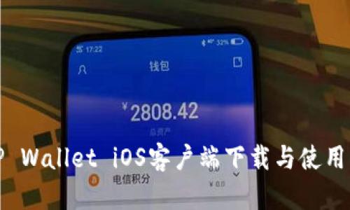 : TP Wallet iOS客户端下载与使用指南