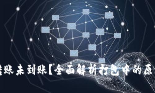 : TPWallet转账未到账？全面解析打包中的原因与解决方案