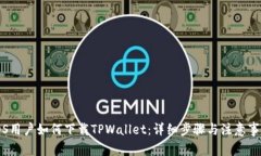 iOS用户如何下载TPWallet：详细步骤与注意事项