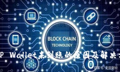 提币到TP Wallet未到账的原因及解决方法详解