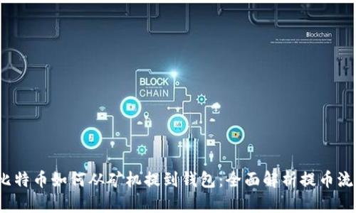  比特币如何从矿机提到钱包：全面解析提币流程