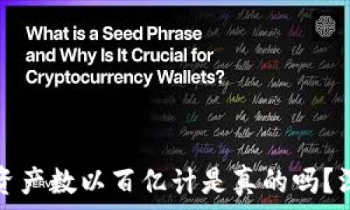   
tpwallet里的资产数以百亿计是真的吗？深入分析与解答