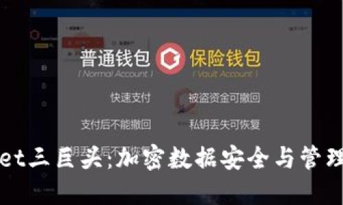 TPWallet三巨头：加密数据安全与管理的未来