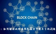 : 如何解决比特币钱包图片下载不了的问题