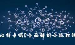 小狐狸钱包能装比特币吗？全面解析小狐狸钱包