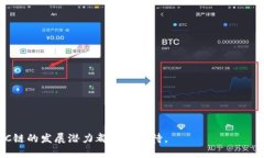   TPWallet：全面解析ETC链的安全性与应用前景 /