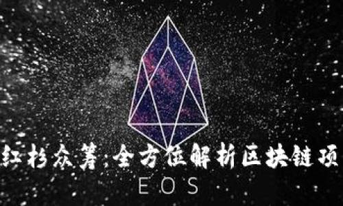 TokenPocket红杉众筹：全方位解析区块链项目融资新模式