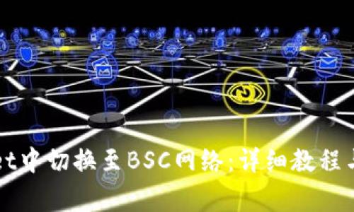 如何在TPWallet中切换至BSC网络：详细教程与常见问题解答