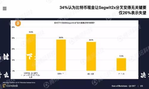 和关键词如下：

为什么TPWallet中的币消失了？揭秘原因与解决方案