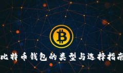 比特币钱包的类型与选择指南
