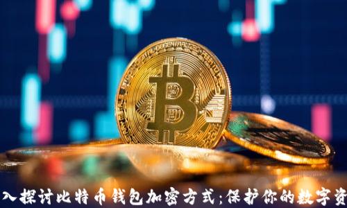 
深入探讨比特币钱包加密方式：保护你的数字资产